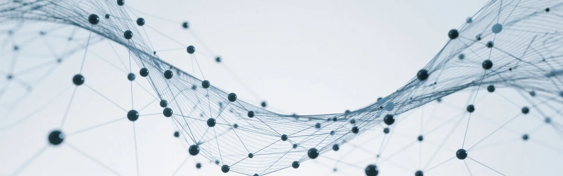 Data Network Background